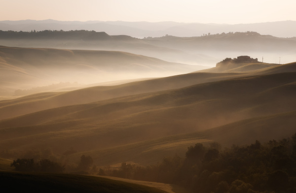 ID immagine 5027119