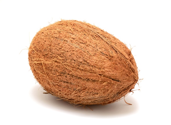 coconut, on, white, background - 28280047