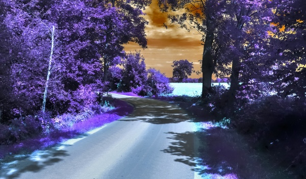 bellissimo paesaggio infrarosso viola in assunzioni