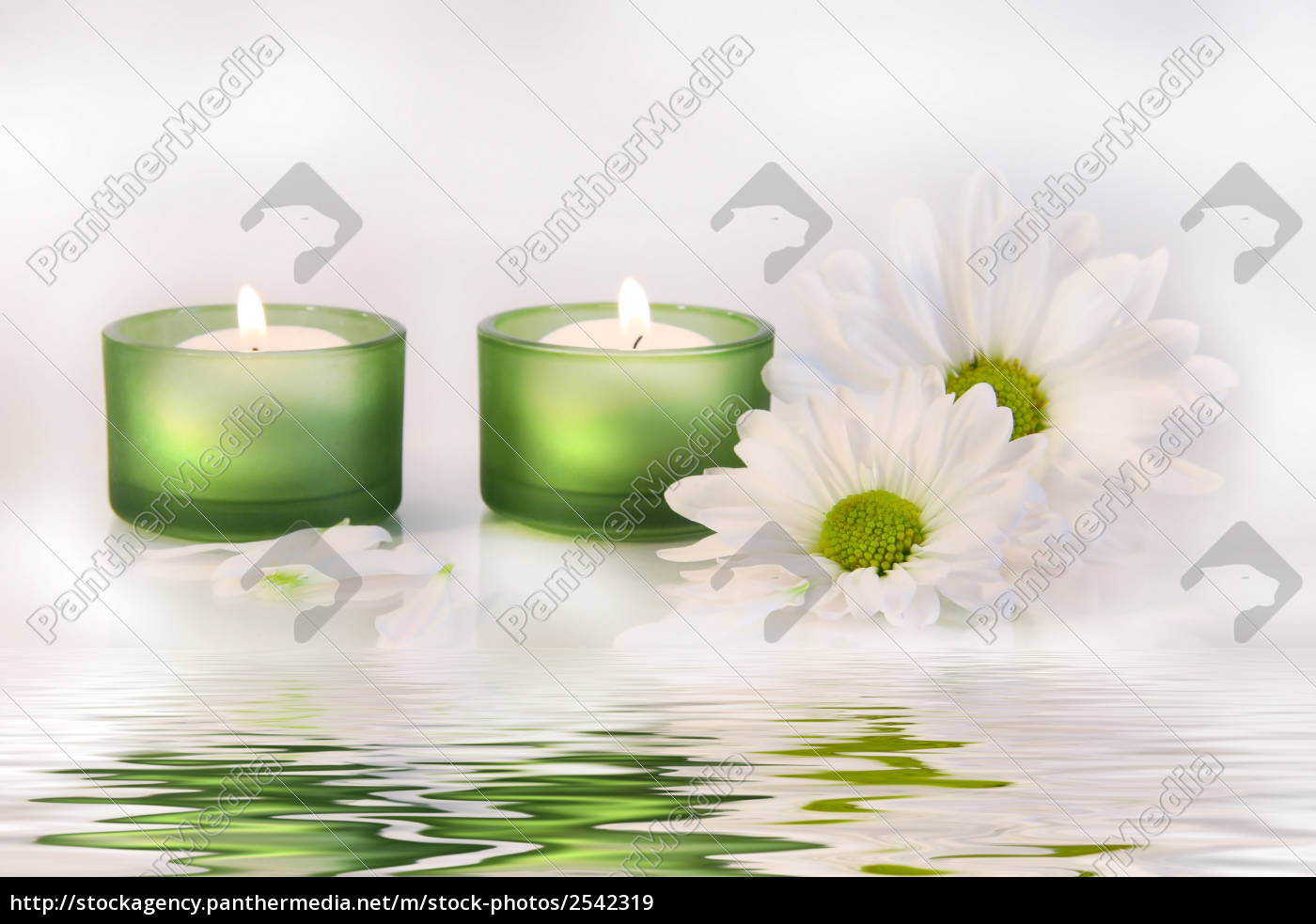 candele verdi e margherite vicino all acqua ref - Foto stock