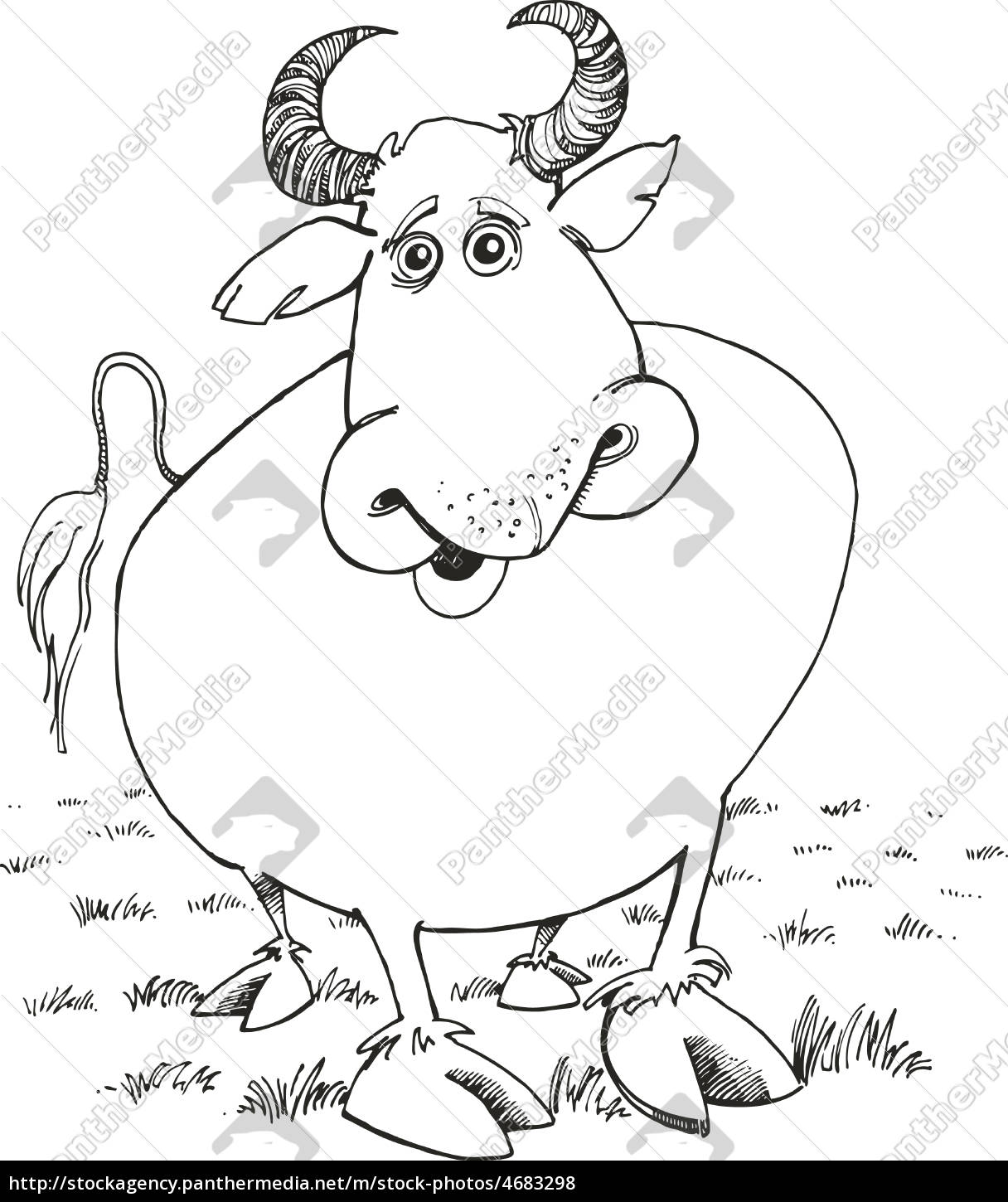 Toro per libro da colorare - Stockphoto #4683298