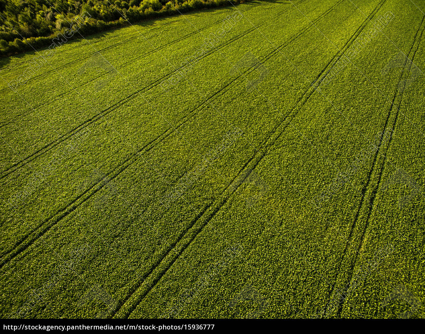 Terreno ph immagini e fotografie stock ad alta risoluzione - Alamy