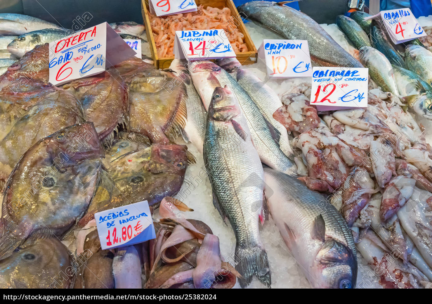 Pesce fresco in vendita in un mercato di Madrid - Stockphoto #25382024