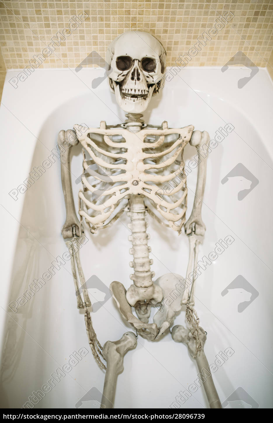 Divertente scheletro umano sdraiato nel bagno senza - Foto stock #28096739